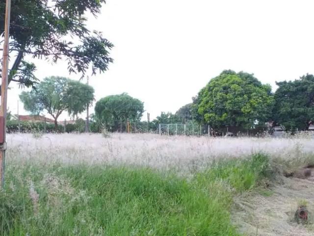 Condominio aluguel em Região Imediata de Araraquara, Araraquara