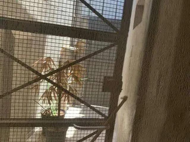 Condominio aluguel em Região Imediata de Jundiaí, Jundiaí