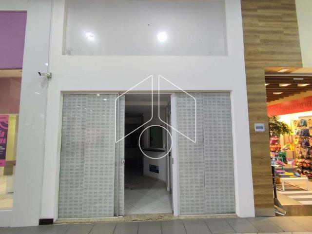 Predio aluguel em Marília, Marília