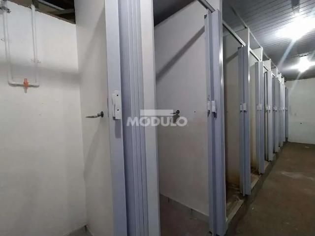 Condominio aluguel em Região Geográfica Imediata de Uberlândia, Oliveira Fortes
