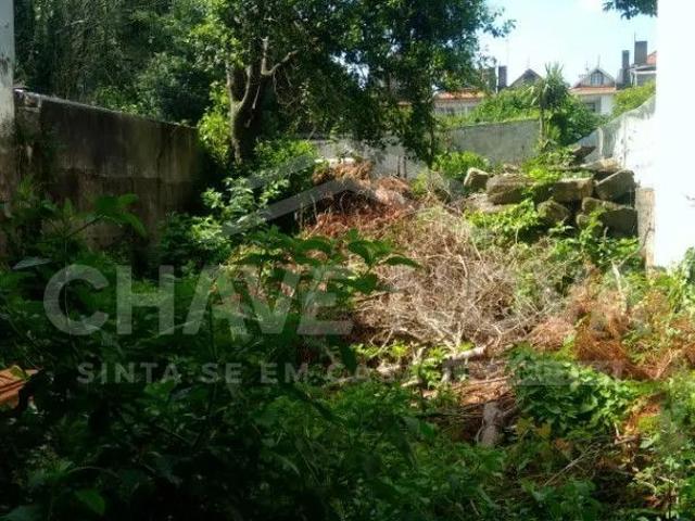 Prédio venda em Porto, Cedofeita