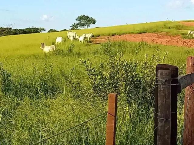 Condominio venda em Região Imediata de Araçatuba, Santo Antônio do Aracanguá