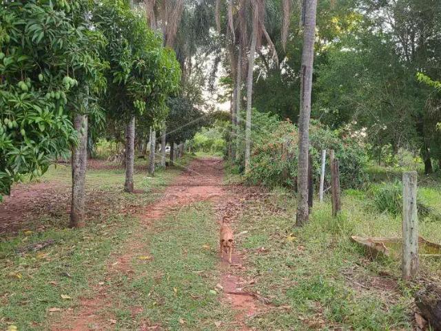 Condominio venda em Região Imediata de Bauru, Agudos