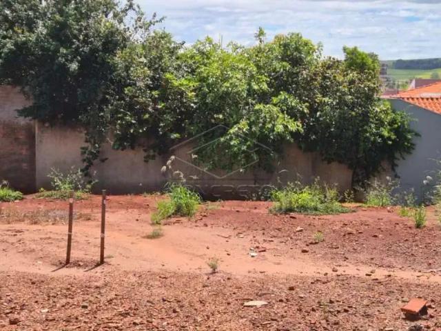 Condominio venda em Região Imediata de Jaú, Jaú