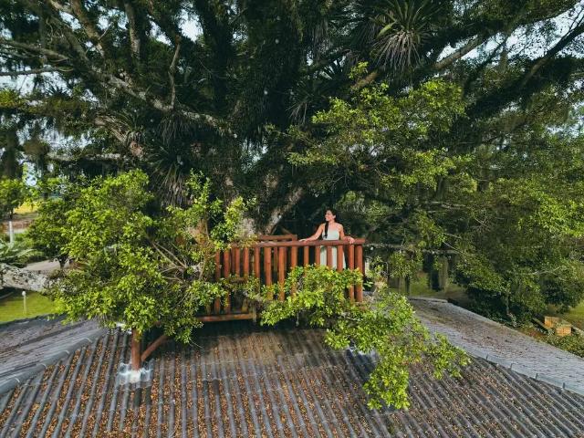 Condominio venda em Região Geográfica Imediata de Florianópolis, Palhoça