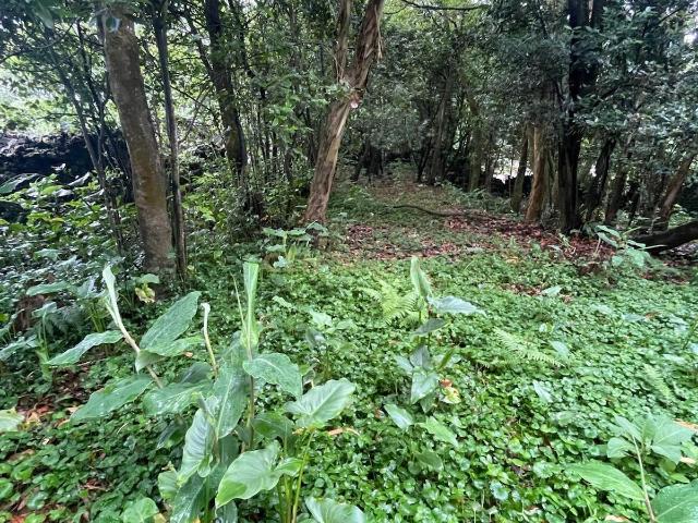 Terreno venda em Açores, Fajã De Baixo