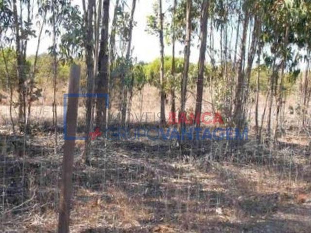 Terreno venda em São Teotónio, Odemira