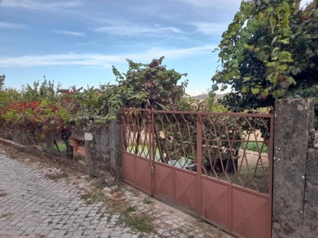 Terreno venda em Lamego, Viseu