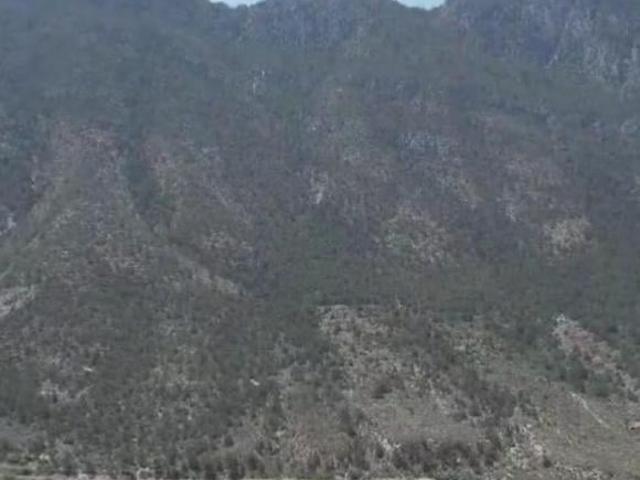 Predio Rústico en Cañón de la Roja, Arteaga, Coahuila
