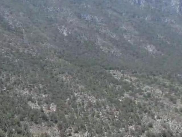 Predio Rústico en Cañón de la Roja, Arteaga, Coahuila