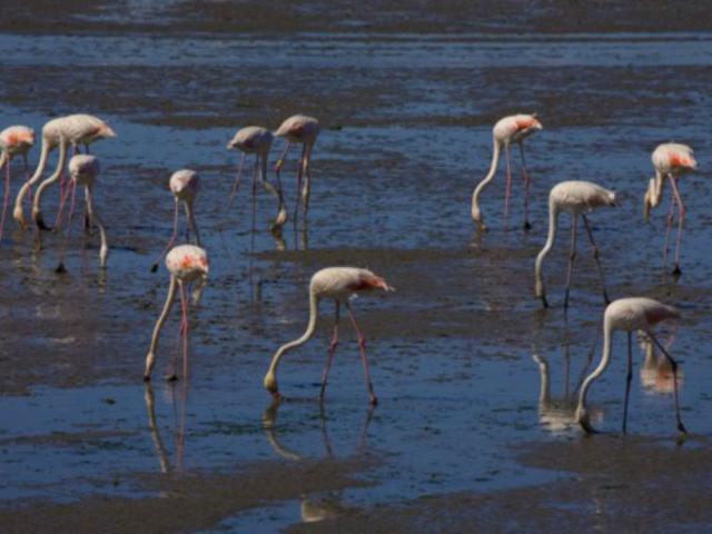 Prédio venda em Quinta da Trindade, Seixal