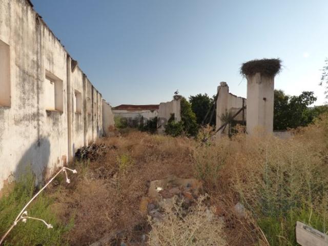 Terreno venda em São Bartolomeu De Messines, Faro