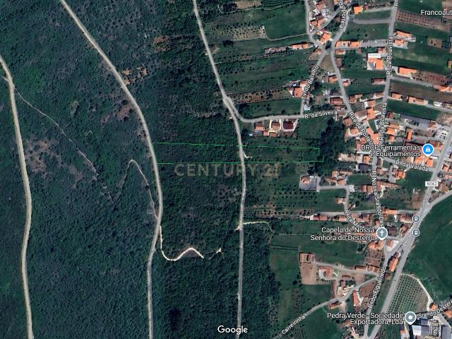 Terreno venda em Portela da Ribeira de Cima, Porto De Mós