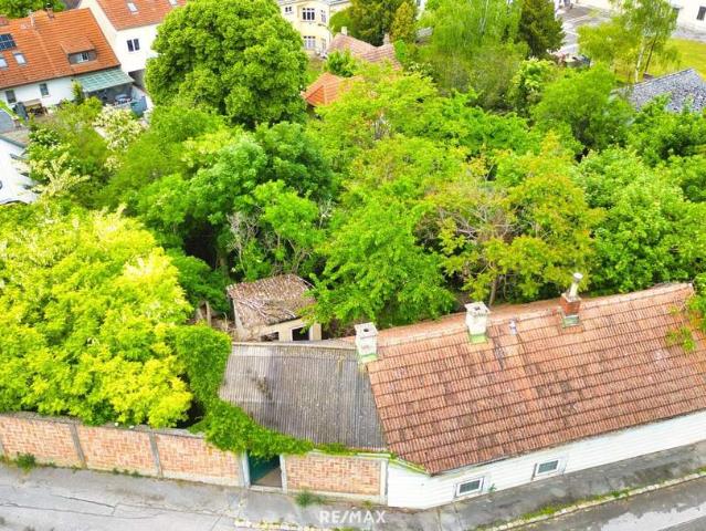 Haus kaufen in Gänserndorf, Niederösterreich