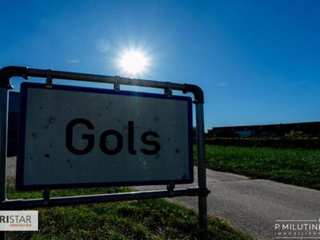 Grundstück kaufen in Gols, Burgenland