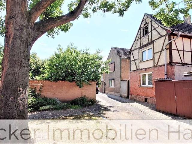 Haus kaufen in Bad Frankenhausen/Kyffhäuser, Kyffhäuserkreis