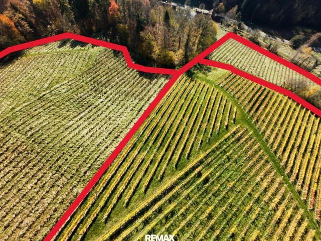 Landwirtschaft kaufen in Gamlitz, Steiermark
