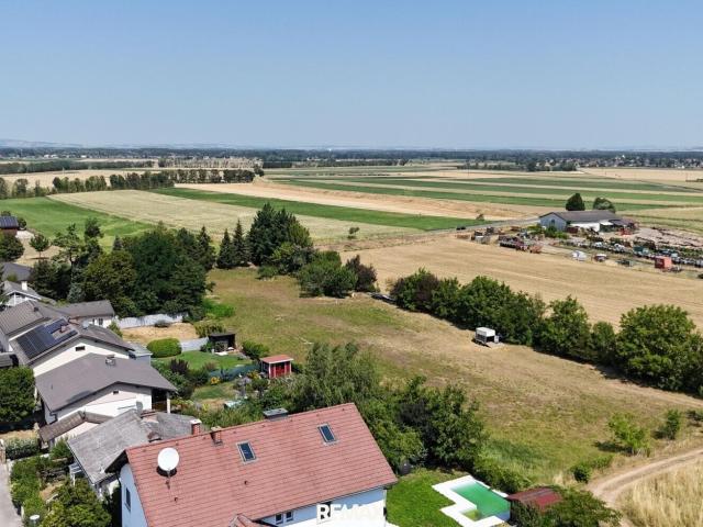 Grundstück kaufen in Königstetten, Bezirk Tulln