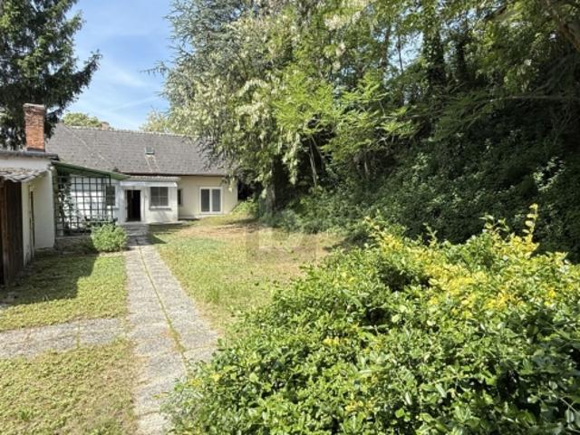 Einfamilienhaus kaufen in Frankenau-Unterpullendorf, Burgenland