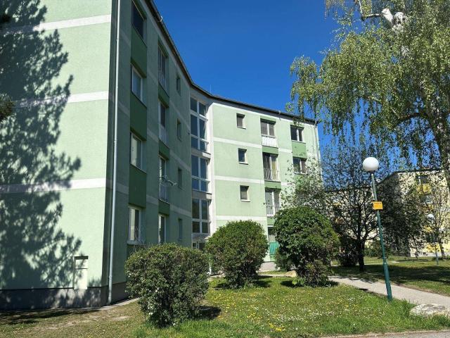 Apartment kaufen in Ebenfurth, Niederösterreich