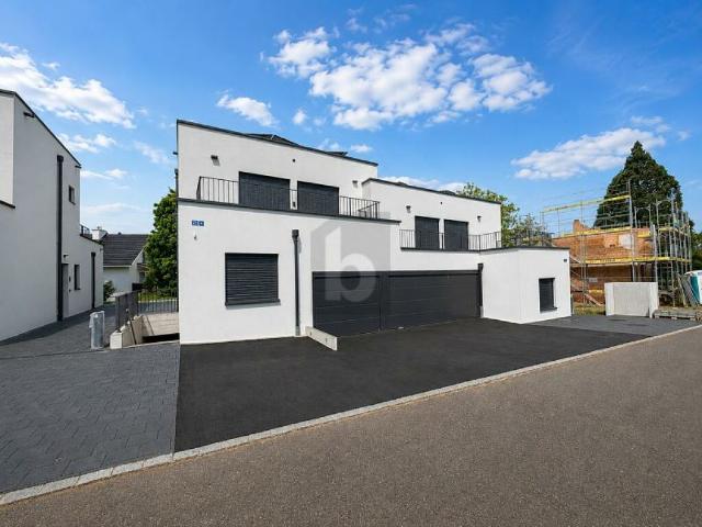 Einfamilienhaus kaufen in Möhlin, Aargau