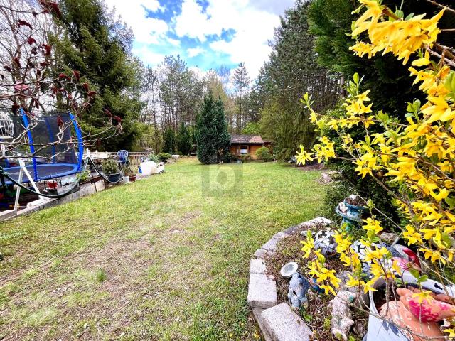 Immobilie kaufen in Veitsau, Berndorf