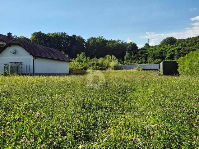 Immobilie kaufen in Blindenmarkt, Niederösterreich