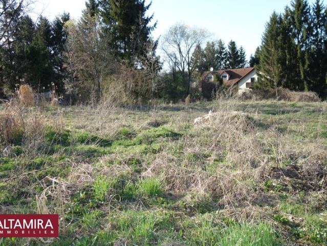 Grundstück kaufen in Kirchstetten, Niederösterreich