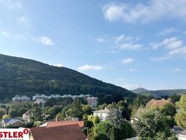 Wohnung kaufen in Hinterbrühl, Niederösterreich