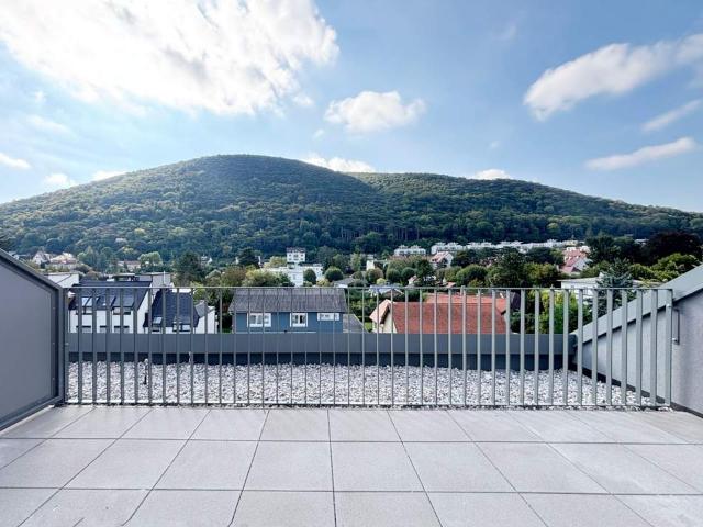 Wohnung kaufen in Mödling, Bezirk Mödling