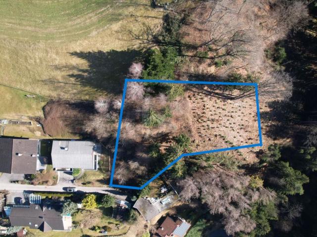 Grundstück kaufen in Zwischenwasser, Vorarlberg