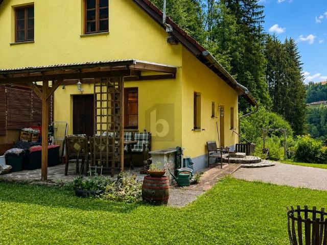 Haus kaufen in Warth, Vorarlberg