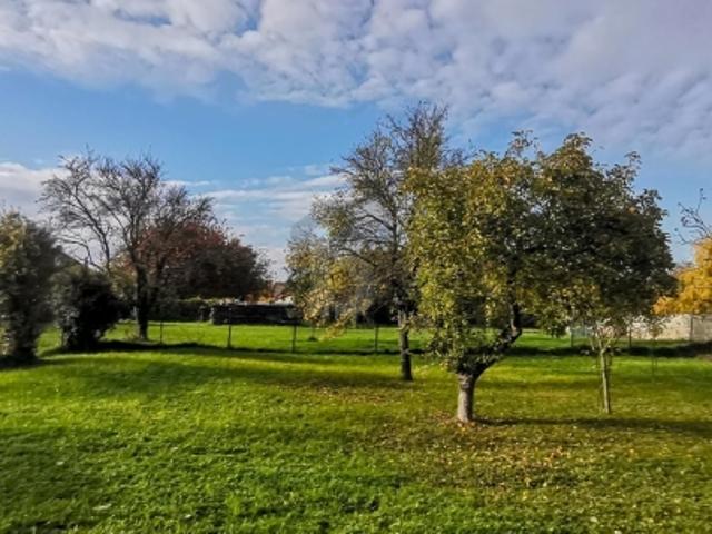 Grundstück kaufen in Breitenbrunn am Neusiedler See, Burgenland