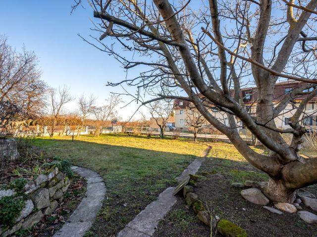 Haus kaufen in Rust, Burgenland