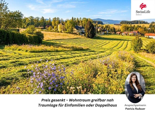 Immobilie kaufen in Hof bei Salzburg, Salzburg