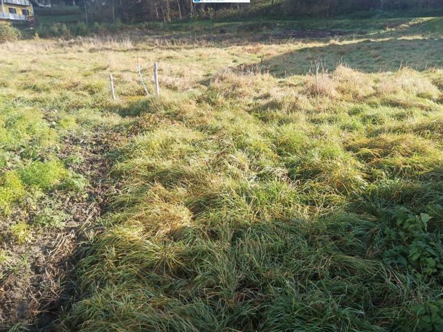 Grundstück kaufen in Ragnitz, Steiermark