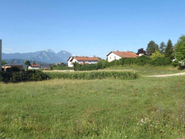 Immobilie kaufen in Eberndorf, Kärnten