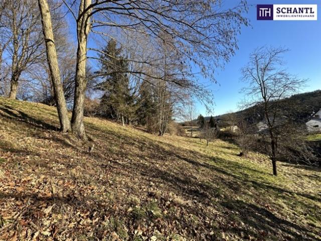 Grundstück kaufen in Fernitz, Steiermark