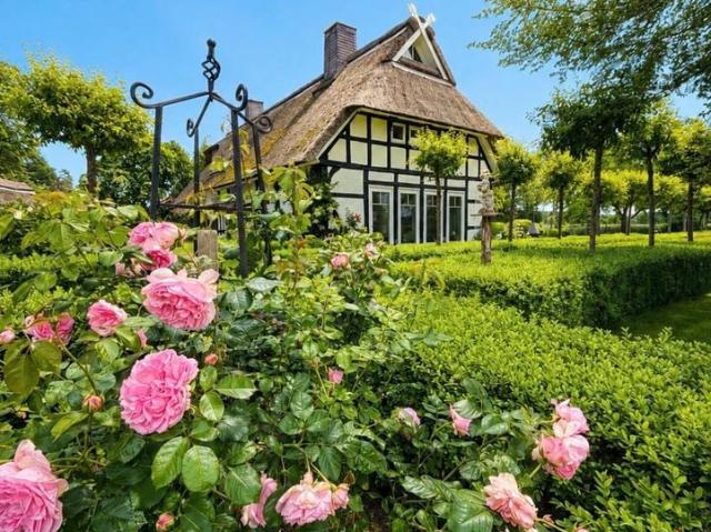 Haus kaufen in Warmsen, Niedersachsen