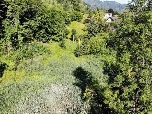 Grundstück kaufen in Pernegg an der Mur, Steiermark