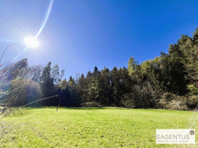 Immobilie kaufen in Volderwald, Tulfes