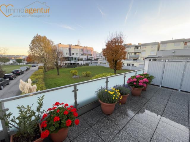 Terrassenwohnung kaufen in Marchtrenk, Oberösterreich