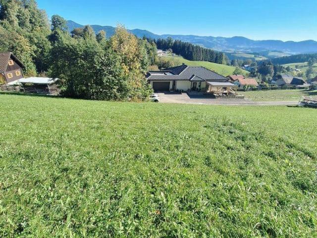 Immobilie kaufen in Rechberg, Semriach
