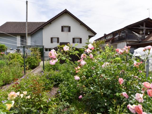 Reihenfamilienhaus kaufen in Gränichen, Aargau