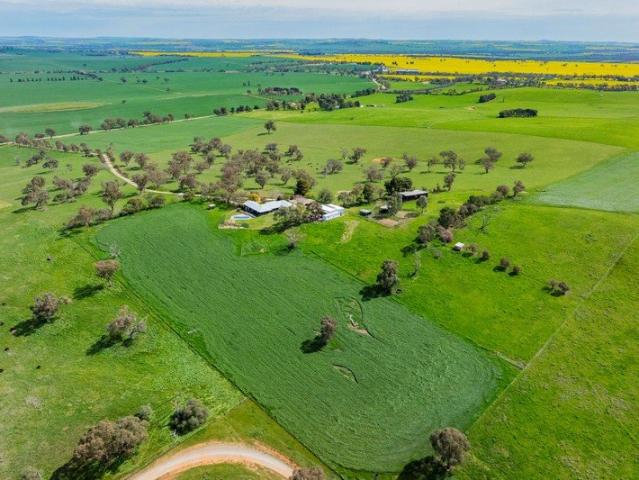 Cottage for sale in Belfrayden, New South Wales