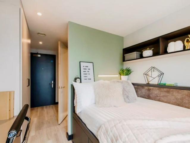 Room for rent in Newtown, Falcon Lodge