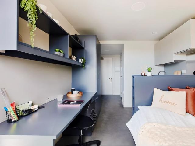 Studio for rent in Hanover & Queen's Park, Brighton
