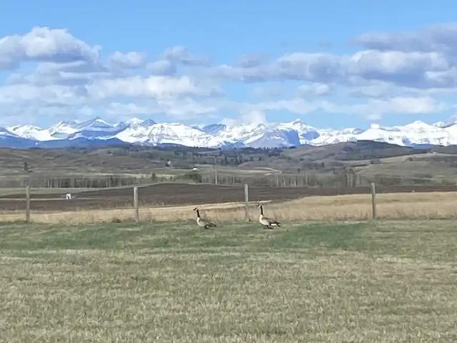 House for rent in Alberta