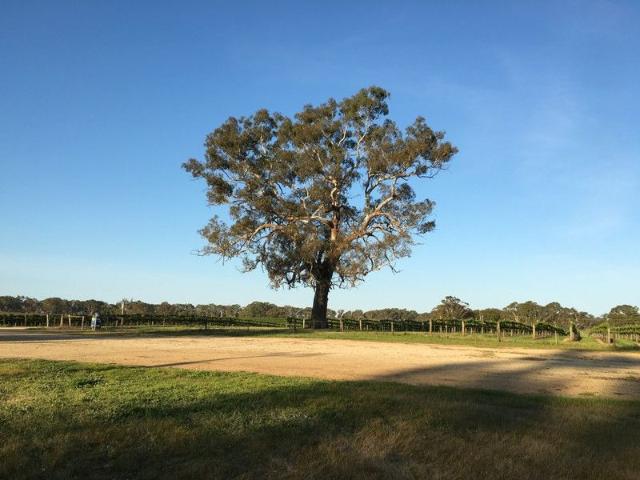 Cottage for sale in Mount Light, South Australia