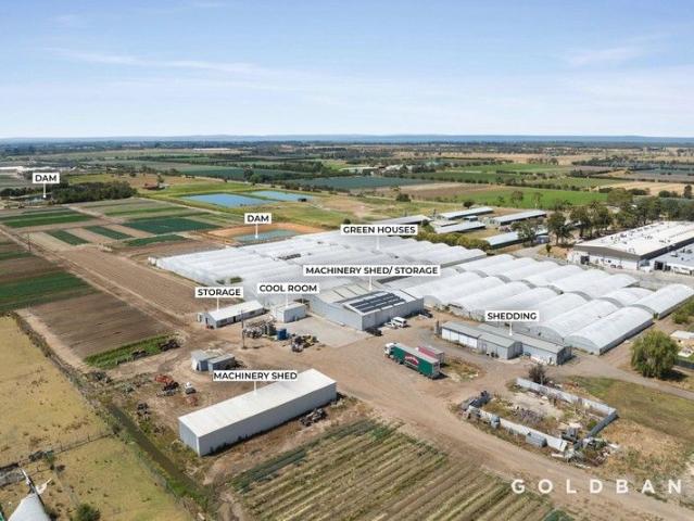 House for sale in Camerons Creek, Victoria